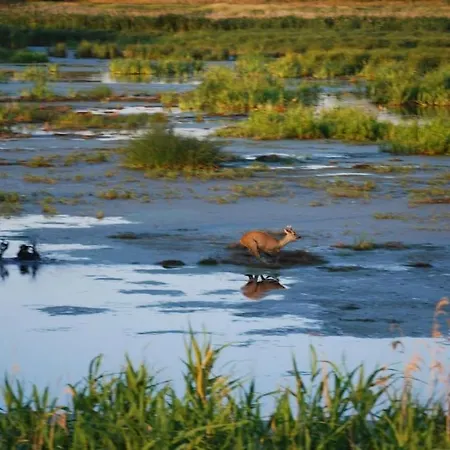 Apartamento Vilm Mecklenburg Pool Alte Schule Barlin Dargun