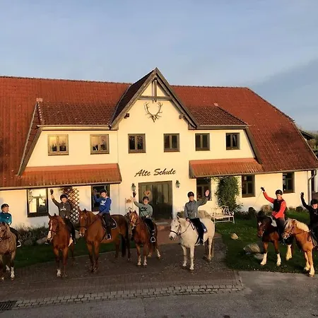 Vilm Mecklenburg Pool Alte Schule Barlin Apartamento Dargun