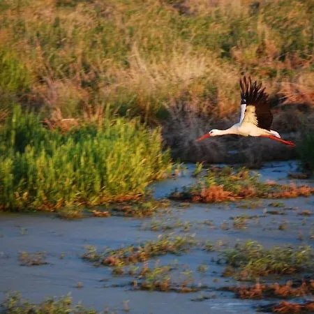 Vilm Mecklenburg Pool Alte Schule Barlin Apartamento