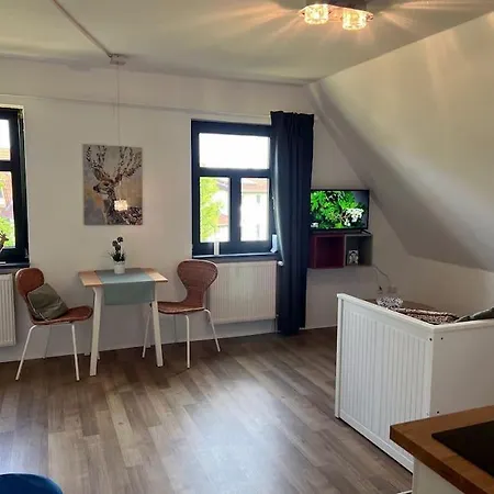 Vilm Mecklenburg Pool Alte Schule Barlin Apartment Dargun